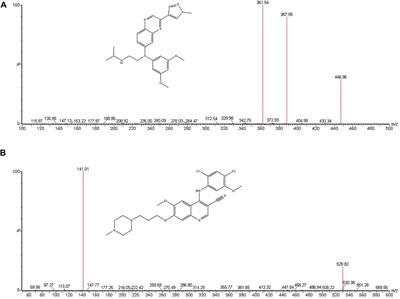 The Effect of Posaconazole and Isavuconazole on the Pharmacokinetics of Erdafitinib in Beagle Dogs by UPLC-MS/MS